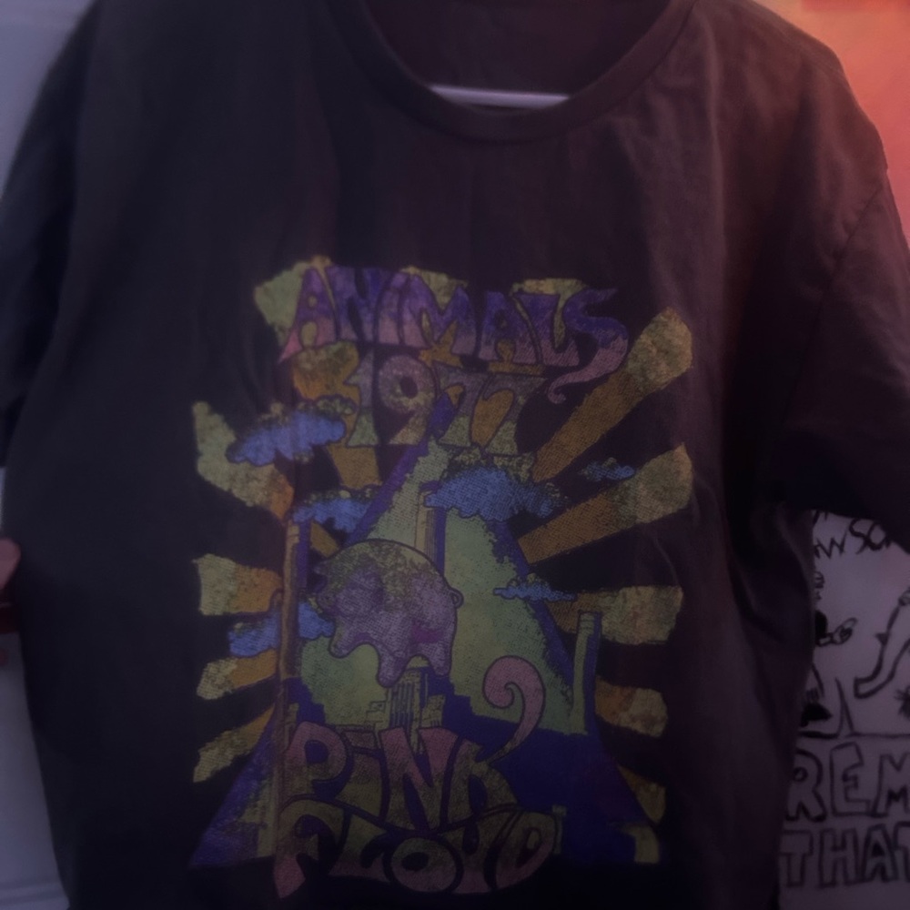 Pink Floyd Graphic T-Shirt - Grey